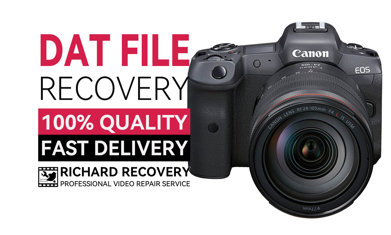 Professional canon camera dat convert mp4 service by Richard Recovery
